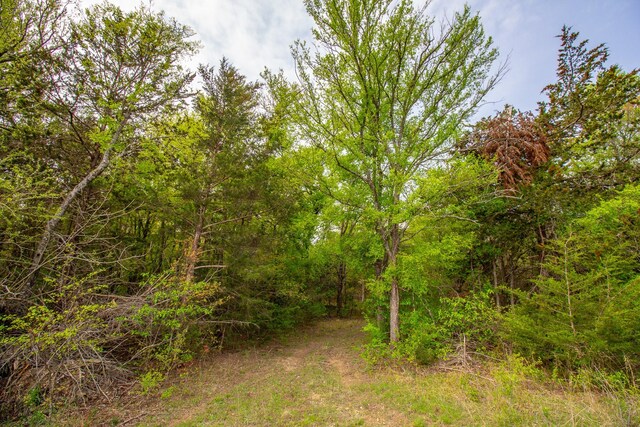 1679 Rosston, Forestburg, TX 76239