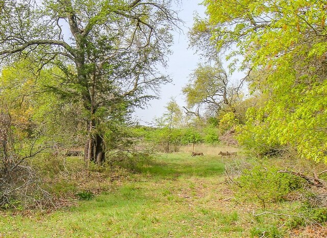 1679 Rosston, Forestburg, TX 76239