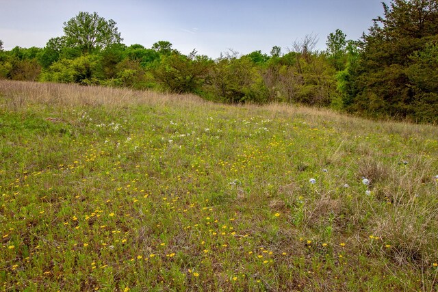 1679 Rosston, Forestburg, TX 76239