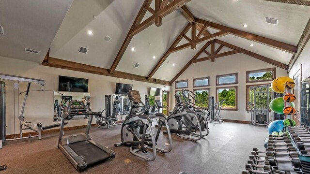 433 Toscana Cir, Gordonville, TX 76245