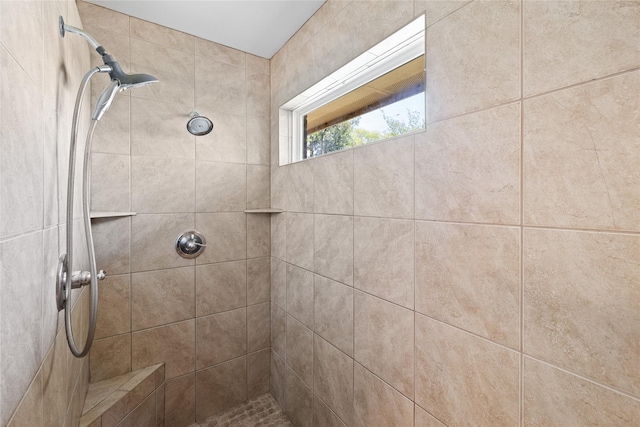 10908 County Road 442, Princeton, TX 75407 - full bathroom with tiled shower