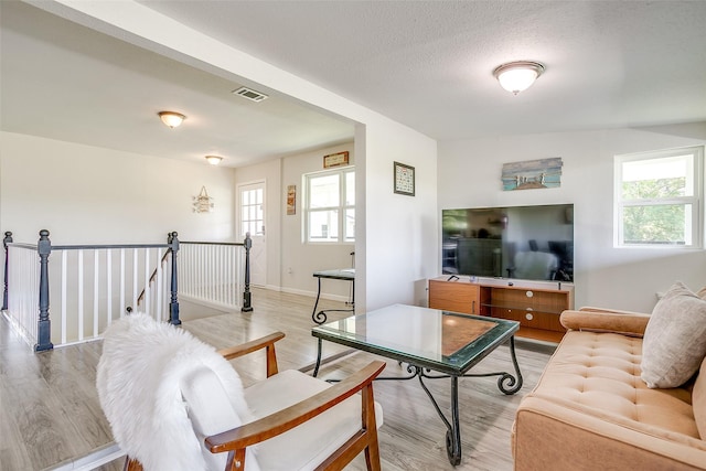 2520 Long Creek Ct, Granbury, TX 76049 - living area with visible vents, baseboards, light wood-type flooring, and plenty of natural light