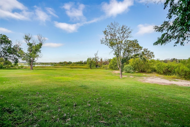 2520 Long Creek Ct, Granbury, TX 76049 - view of yard