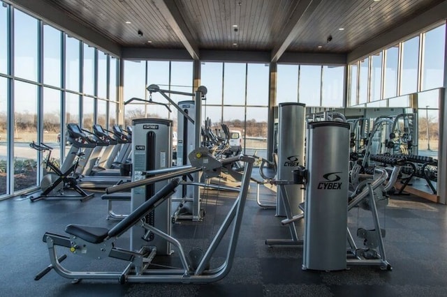 exercise room with expansive windows, wooden ceiling, and a wealth of natural light