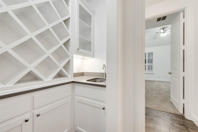 storage area featuring a sink and visible vents