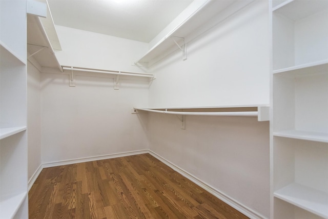 1314 Kingsley Ct, Allen, TX 75013 - walk in closet with wood finished floors