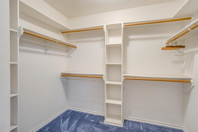 spacious closet featuring carpet floors