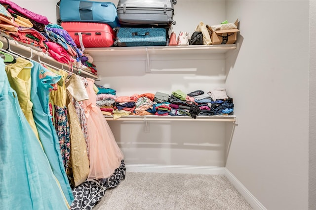 walk in closet featuring carpet flooring