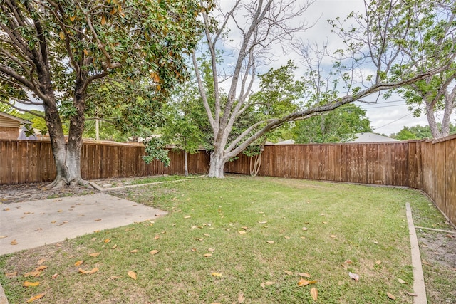 view of yard with a patio area and a fenced backyard