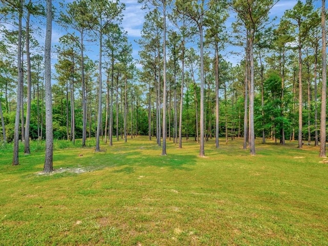 194 Royal Pnes, Lufkin, TX 75904 - view of green lawn