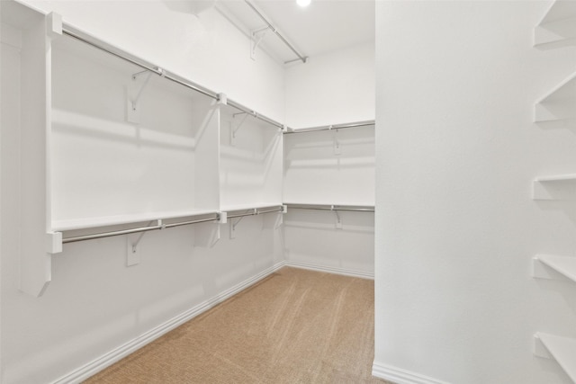 15712 Millwood Trl, Frisco, TX 75033 - spacious closet with carpet flooring