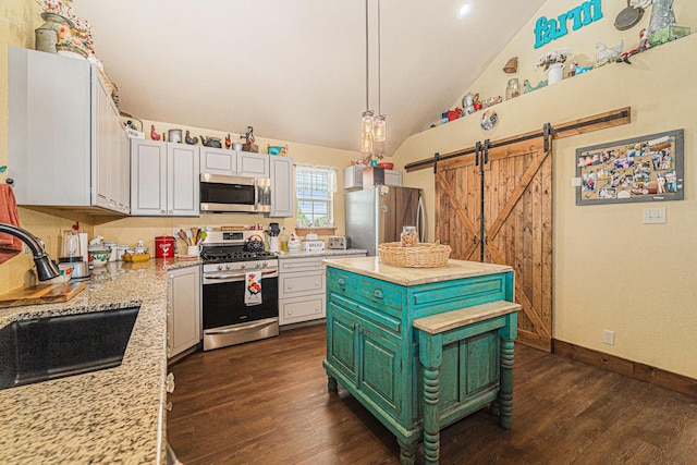 kitchen featuring a barn door, lofted ceiling, dark wood-style floors, stainless steel appliances, and a sink