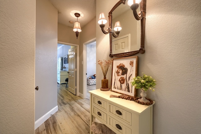 3419 Willowcreek Dr, Sunnyvale, TX 75182 - hall featuring light wood-style floors and a textured wall