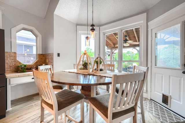 3419 Willowcreek Dr, Sunnyvale, TX 75182 - dining room featuring a textured ceiling, light wood-type flooring, and plenty of natural light