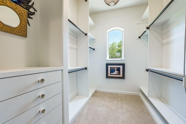 walk in closet featuring carpet floors