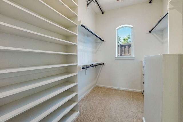 spacious closet with carpet