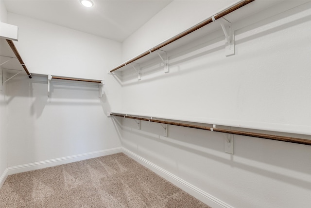 1624 Sweetwater Way, Celina, TX 75009 - walk in closet featuring carpet floors