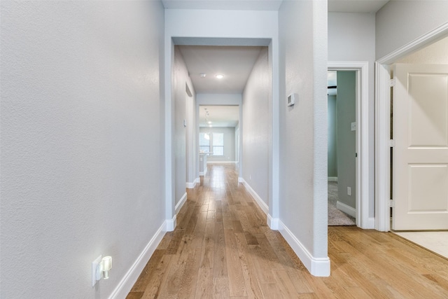 1624 Sweetwater Way, Celina, TX 75009 - hall with light wood-style floors and baseboards