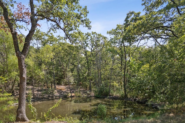 view of nature featuring a forest view