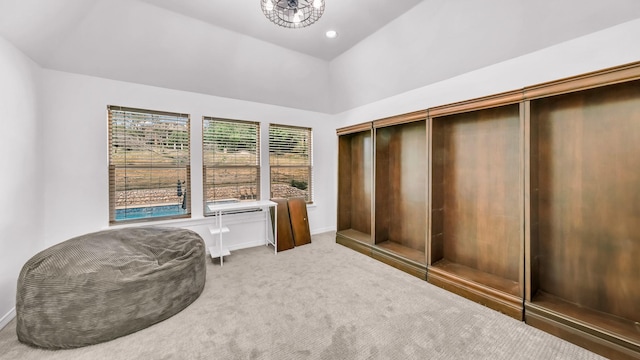 interior space with carpet