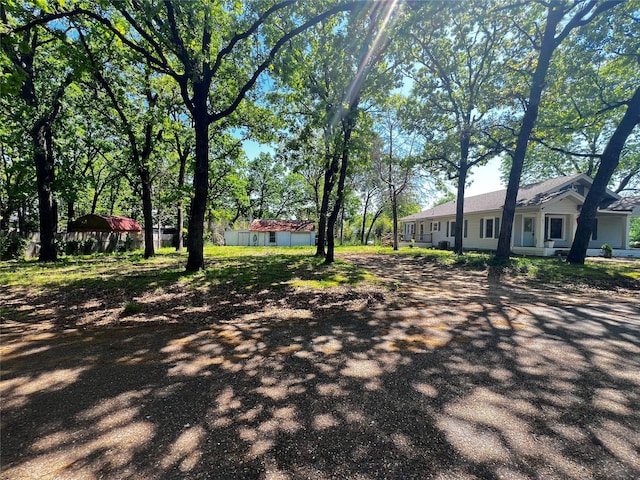 143 Lisa Layne St, Gun Barrel City, TX 75156 - view of yard