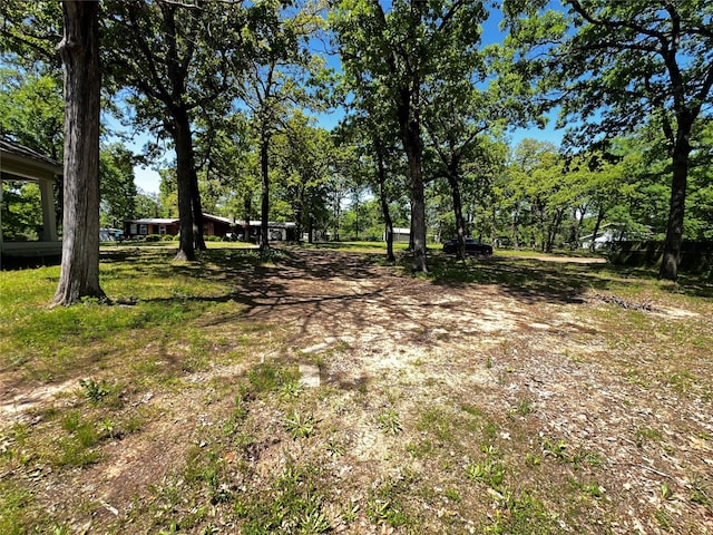 143 Lisa Layne St, Gun Barrel City, TX 75156 - view of yard