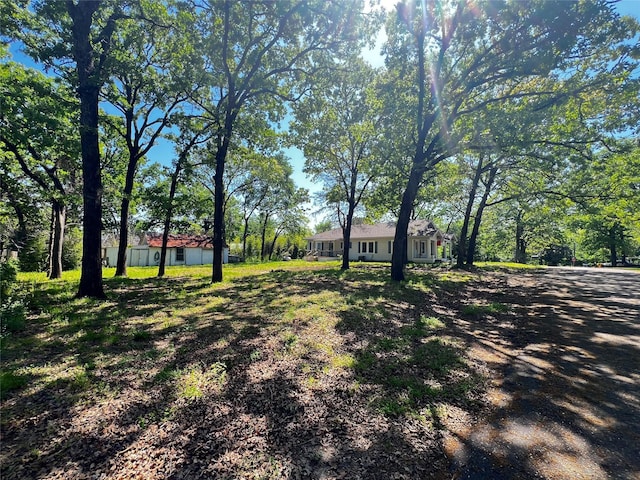 143 Lisa Layne St, Gun Barrel City, TX 75156 - view of yard