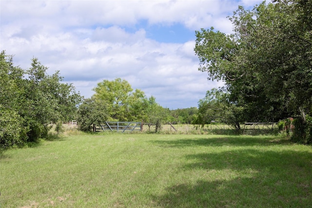 view of yard featuring a rural view
