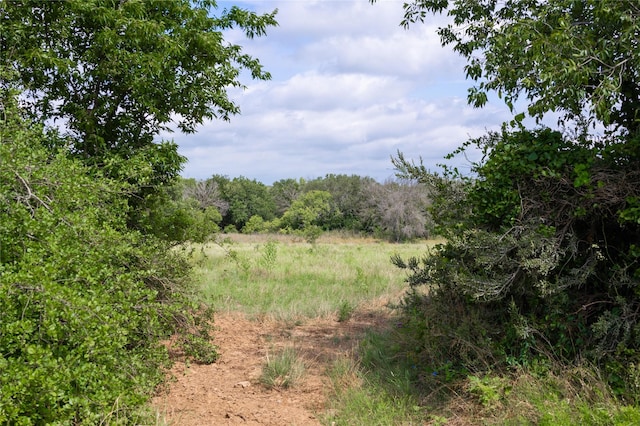 view of local wilderness featuring a view of trees