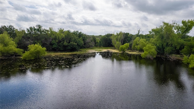 property view of water featuring a view of trees