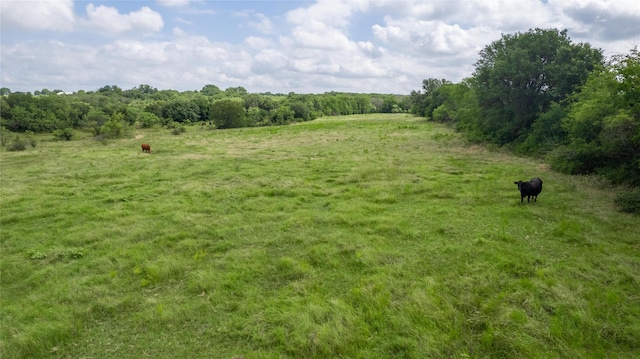 view of local wilderness featuring a rural view