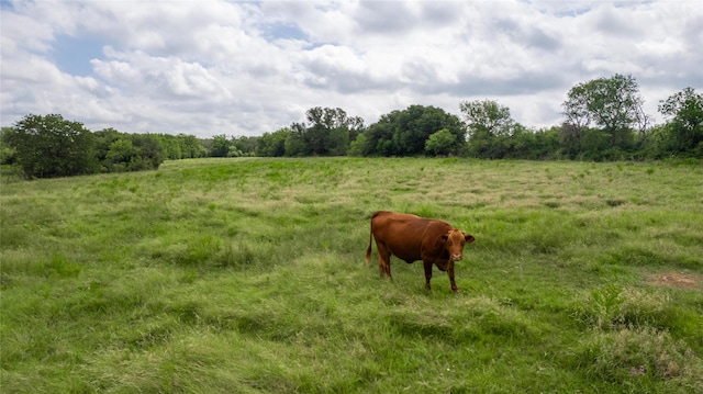 view of landscape with a rural view