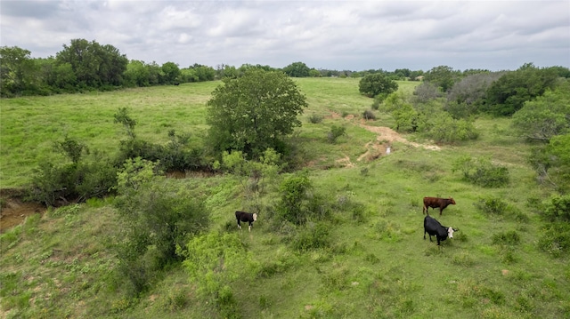 view of nature featuring a rural view