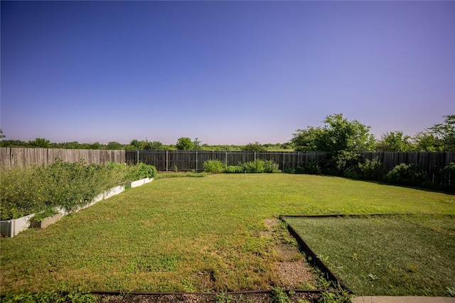 423 Murphy Rd, Burleson, TX 76028 - view of yard at dusk