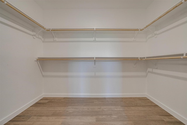 spacious closet featuring wood finished floors