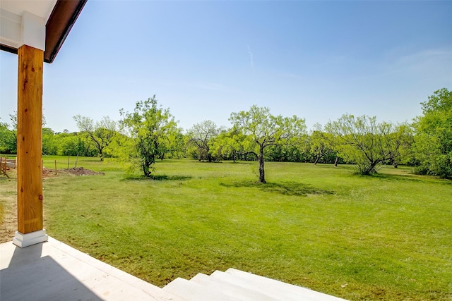 view of yard