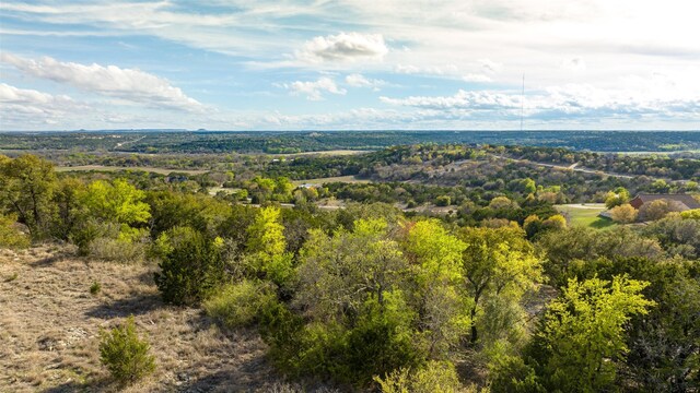 2440 Jimmy Houston Way, Bluff Dale, TX 76433