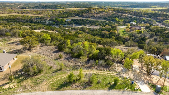 2440 Jimmy Houston Way, Bluff Dale, TX 76433