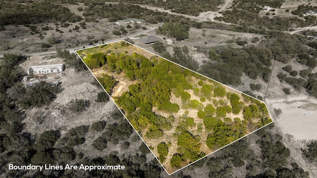 2440 Jimmy Houston Way, Bluff Dale, TX 76433