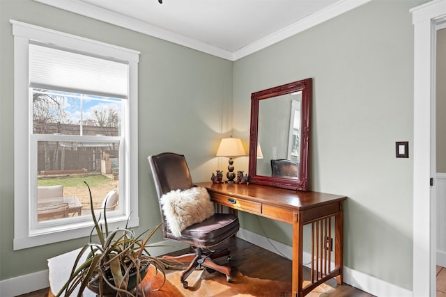 office with wood finished floors, baseboards, and ornamental molding
