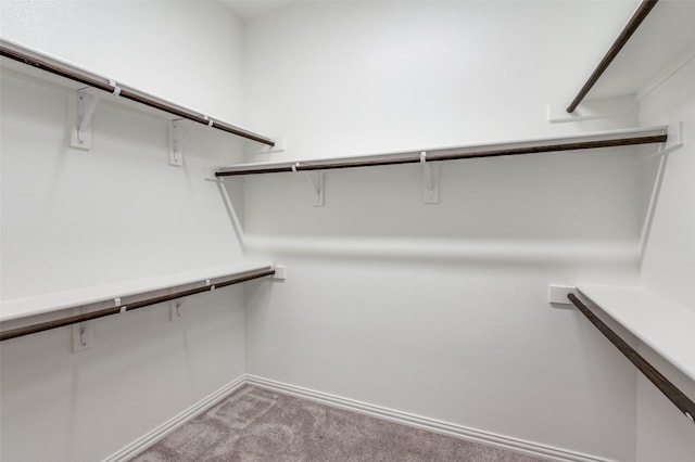 spacious closet with light carpet