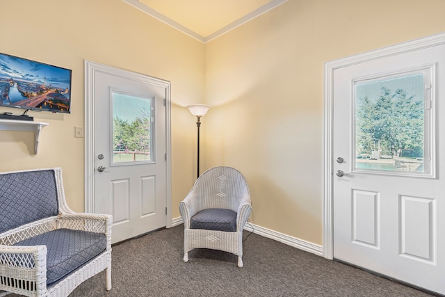 4682 County Road 2720, Caddo Mills, TX 75135 - sitting room featuring a wealth of natural light, carpet, and baseboards