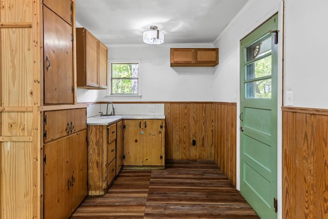 kitchen with a sink, ornamental molding, a wainscoted wall, and dark wood finished floors