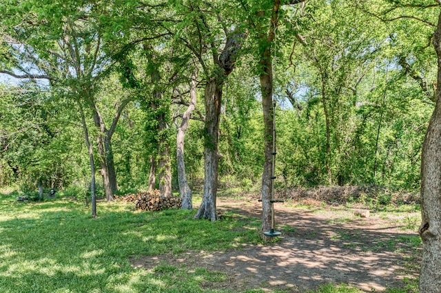 3945 Ringdove Way, Fort Worth, TX 76262 - view of yard featuring a forest view