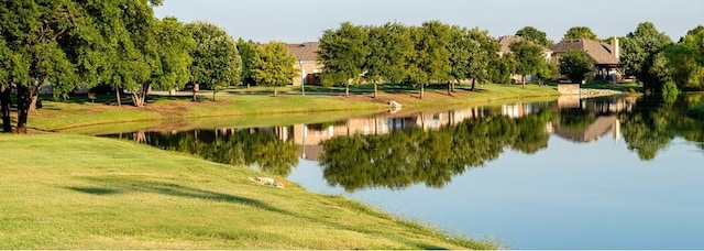 9133 Wichita Trl, Frisco, TX 75033 - property view of water