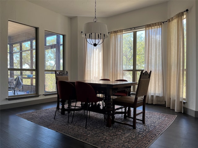 dining area featuring dark wood-type flooring