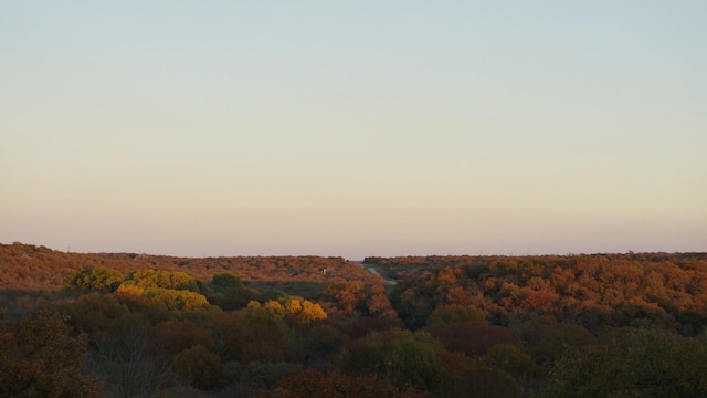 property view of mountains featuring a wooded view