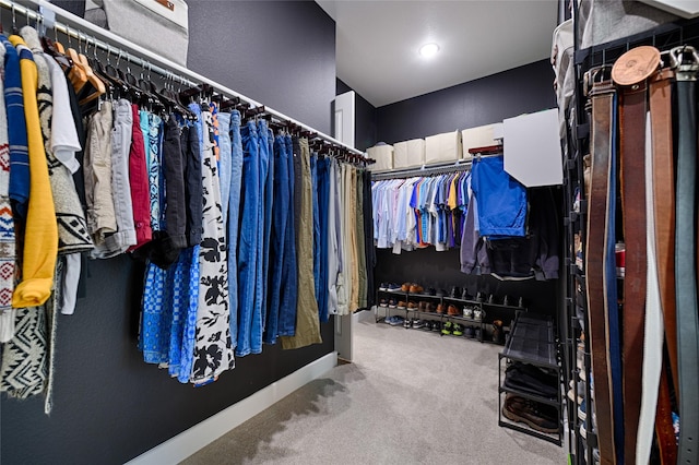 walk in closet featuring carpet floors