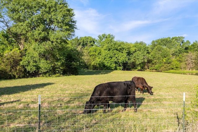 view of yard with a rural view and fence