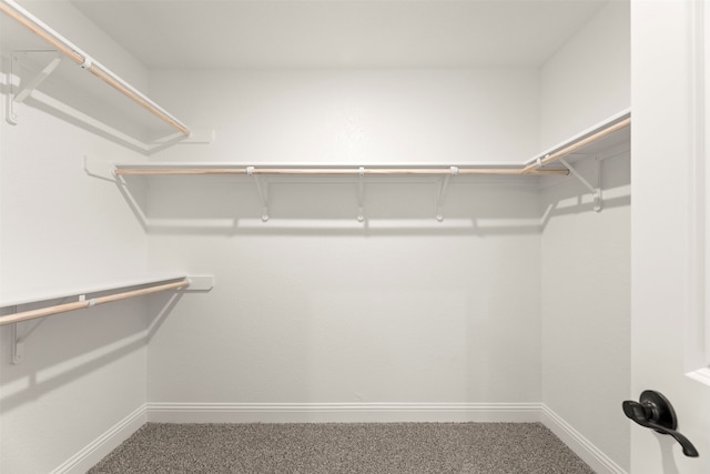 walk in closet with carpet floors